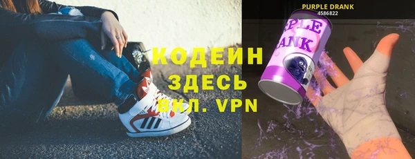дурь Алексин