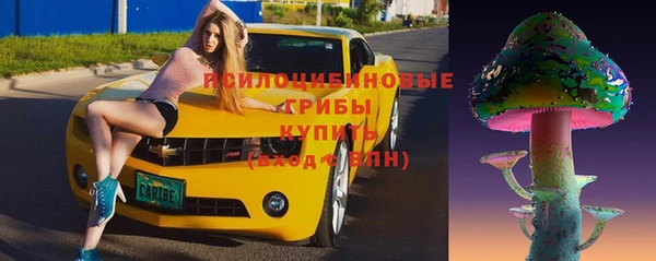 дурь Алексин