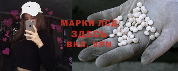 гидра Корсаков