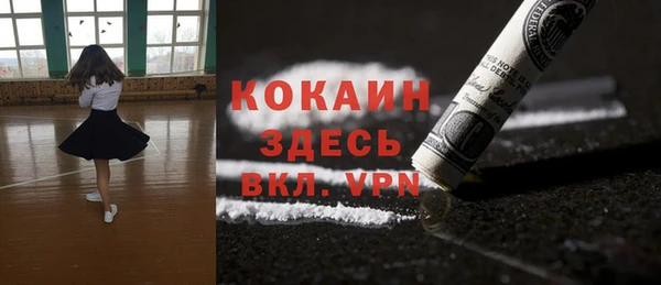 дурь Алексин