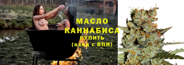 гидра Корсаков