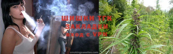сатива Алзамай